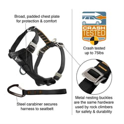 PetSafe Tru-Fit Black Smart Nylon Cat/Dog Harness Medium