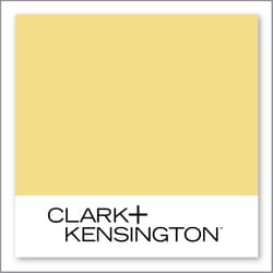 Clark+Kensington Pirate Gold KIDCC-20