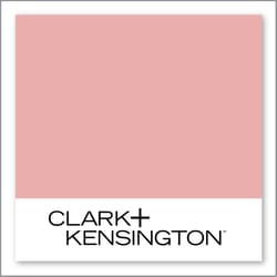 Clark+Kensington Radish Rose 06B-3