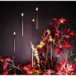 Sienna Warm White 10 ct LED Prelit Candle Halloween Decor