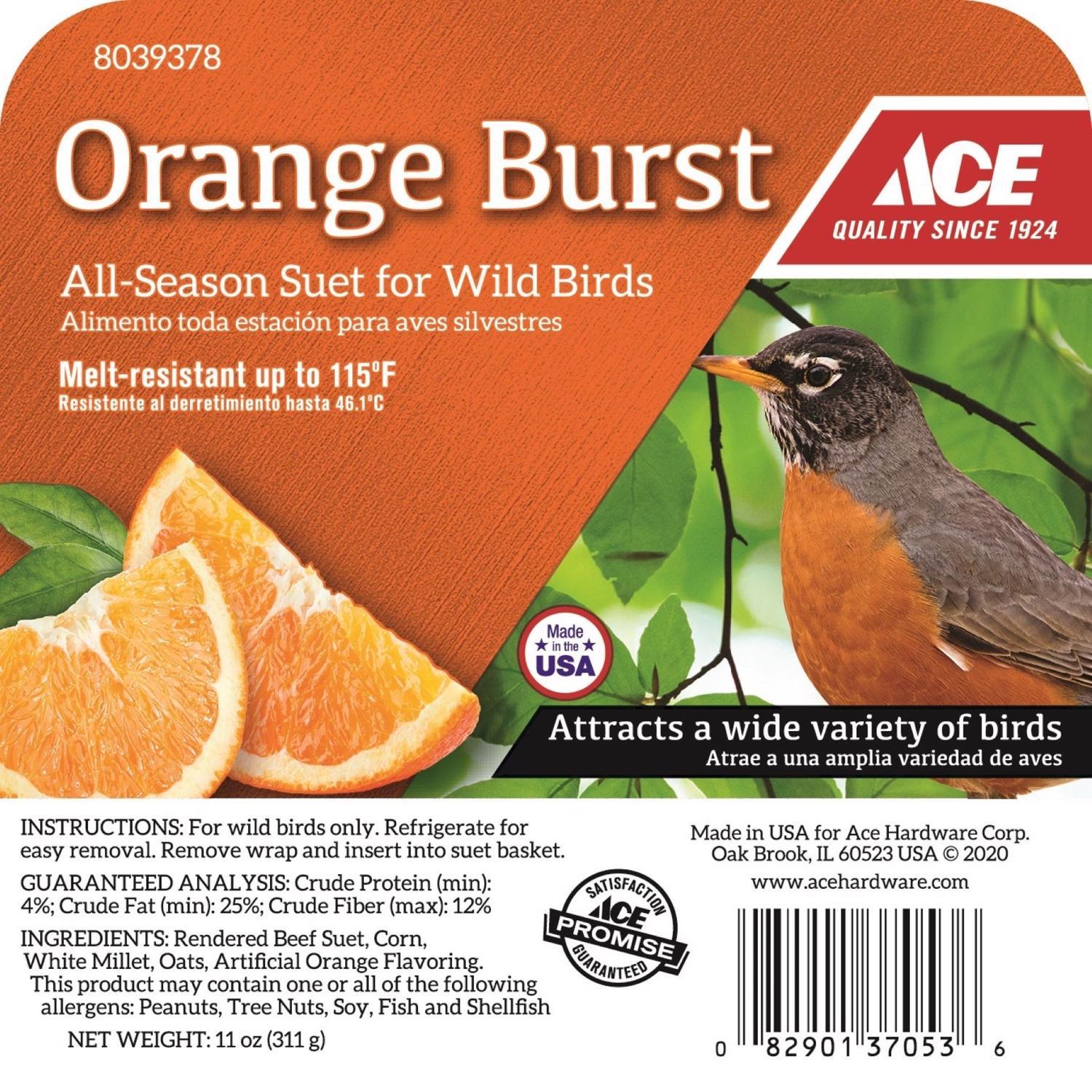 Ace Orange Burst Assorted Species Beef Suet 11 oz Mfr 100214159 Ace