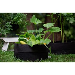 Smart Pot Fabric Garden Planter Black