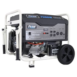 Pulsar 120/240 V Gas Portable Generator 6000 W