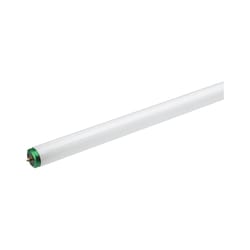 Philips 75 W T12 1.5 in. D X 96 in. L Fluorescent Bulb Daylight Linear 6500 K 2 pk