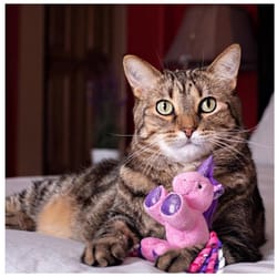 Multipet Assorted Plush Unicorn Cat Toy 8.5 in. 1 pk