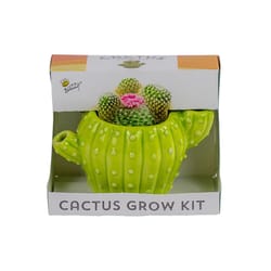 Buzzy Cactus Grow Kit 1 pk