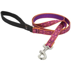 Lupine Pet Original Designs Multicolor Alpen Glow Nylon Dog Leash