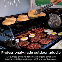 Ninja Grill Grid