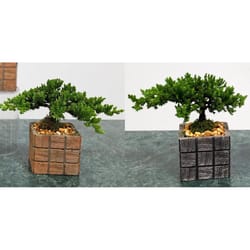 Eve's Garden 8 in. H X 3 in. D Ceramic Assorted Tile Vase Bonsai Tree Brown/Gray