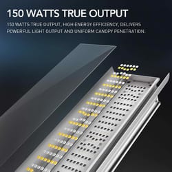 iPower Hydroponic Grow Light 150 W