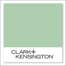 Clark+Kensington Outrageous 29C-4