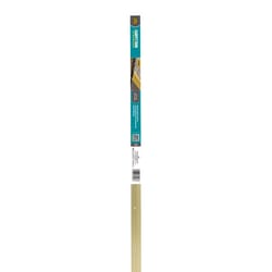 M-D BUILDING PRODUCTS 0.3 in. H X 1.375 in. W X 72 in. L Satin Brass Aluminum Carpet Trim