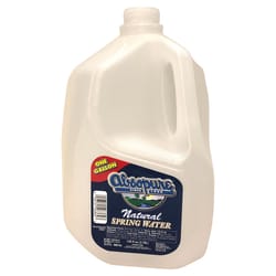 Absopure Spring Water 1 gal