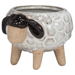 Abbott 3.25 in. H Stoneware Sheep Planter Black/White