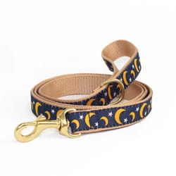 Up Country Navy Stella & Luna Nylon Dog Leash