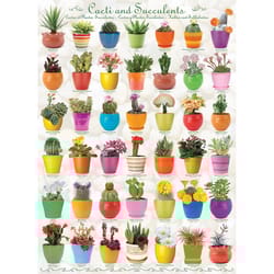 Eurographics Cacti & Succulents Jigsaw Puzzles Multicolored 1000 pc