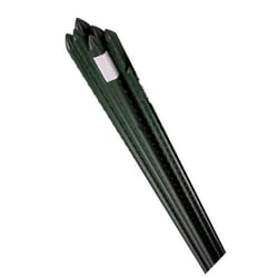 Bond 6 ft. H X 1/2 in. W Green Bamboo Garden Stakes Bond 6 ft. H X 1/2 in. W Green Bamboo Garden Stakes