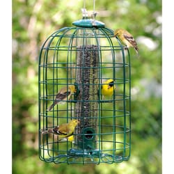 Audubon Wild Bird 1.25 lb Plastic/Wire Caged Tube Bird Feeder 4 ports