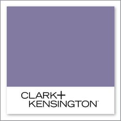 Clark+Kensington Violet 41C-6