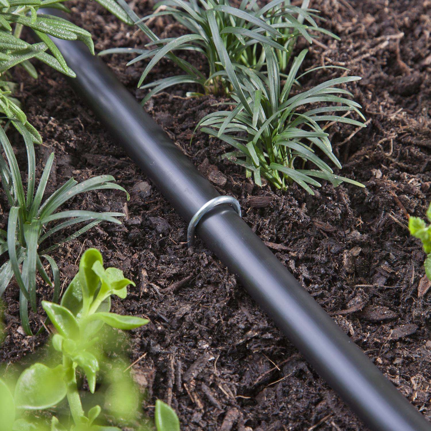 Raindrip For 1/2 in. Tubing Drip Irrigation Watering Stake 12 in. H 12 pk Raindrip For 1/2 in. Tubing Drip Irrigation Watering Stake 12 in. H 12 pk