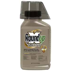 Roundup  Concentrate  Weed and Grass Killer  32 oz. 