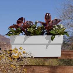 Bloem Finley 9.5 in. H X 11.74 in. W X 24 in. D Plastic Deck Rail Planter White