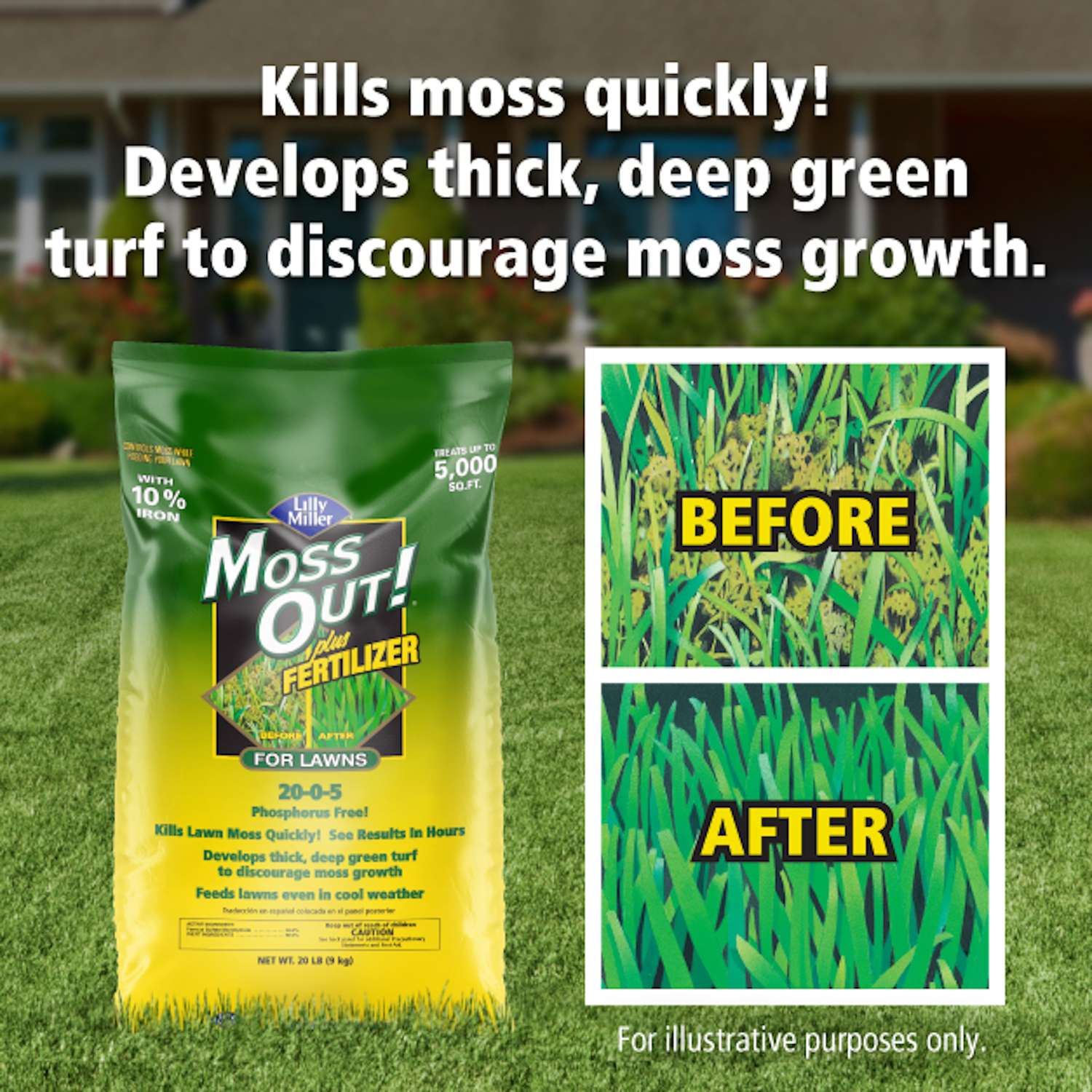Lilly Miller Moss Out Moss Killer Granules 40 lb Mfr 100508948 Ace Hardware