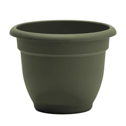 Bloem Ariana 5.25 in. H X 6.5 in. W Resin Traditional Planter Living Green