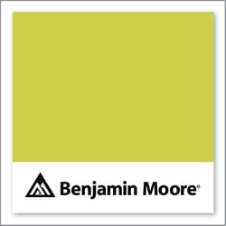 Benjamin Moore Flower Power 398