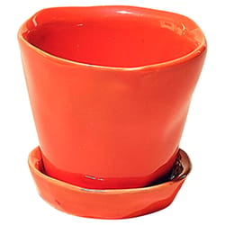 Chive Tika 3 in. D Ceramic Succulent Pot Orange