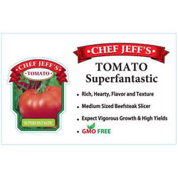 Chef Jeff Red Standard Superfantastic Tomato Vegetable Plant