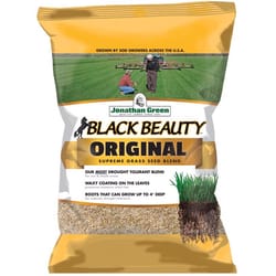 Jonathan Green Black Beauty Original Tall Fescue Blend Tall Fescue Grass Sun or Shade Grass Seed 25