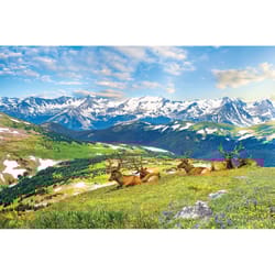 Eurographics Mountain Elks - Colorado - USA Jigsaw Puzzle Multicolored 1000 pc