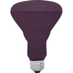 GE 75 W R30 Spotlight Incandescent Bulb E26 (Medium) Black Light 1 pk