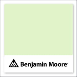 Benjamin Moore Neon Celery 2031-60