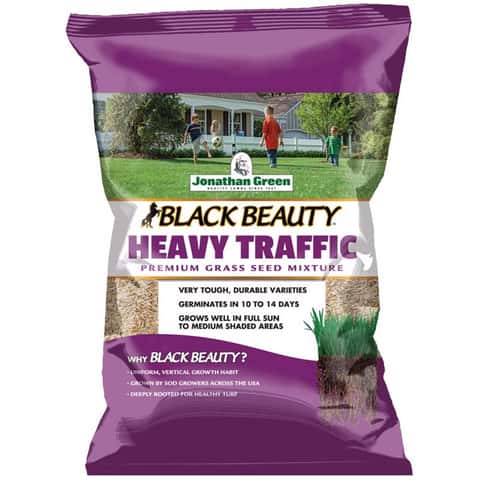 Ace Mixed Full Sun/Medium Shade Grass Seed 25 lb