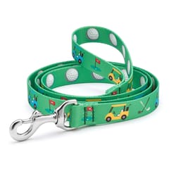 Up Country Green Hole in One Nylon Dog Leash