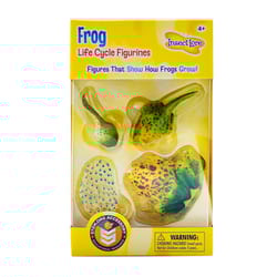 Insect Lore Frog Life Cycle Figurines Multicolored 4 pc