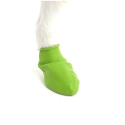 PawZ Apple Green Dog Boots Tiny