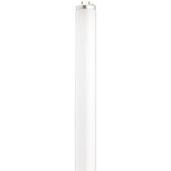 Satco 20 W T12 1.5 in. D X 23.78 in. L Fluorescent Bulb Cool White Linear 4100 K 1 pk