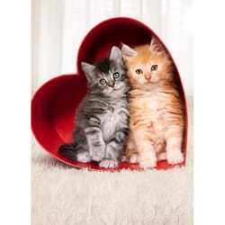 Avanti Two Kittens In Heart Box Cat Valentine's Day Card Paper 2 pc