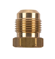 JMF Company 5/8 in. Flare Brass Plug