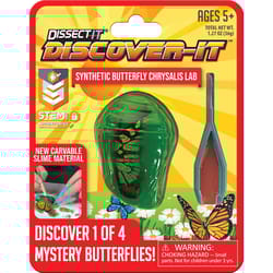 Discover-It Butterfly Chrysalis Lab Assorted