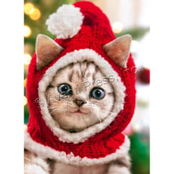 Avanti Christmas Kitten Knit Santa Hat Greeting Card Paper 4 pc