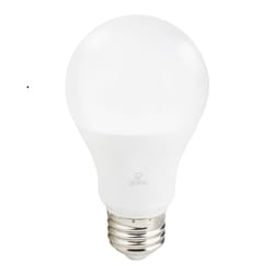 Globe Electric Wi-Fi Smart Home A19 E26 (Medium) LED Bulb Color Changing 60 Watt Equivalence 1 pk