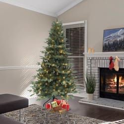 Holiday Bright Lights 1-2 Tree 7 ft. Full LED 400 ct Blue Spruce Color Changing Christmas Tree