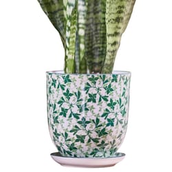 Chive Liberte 4.25 in. D Ceramic Flower Pot Green Leaves 4