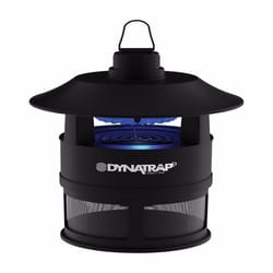 Getting Rid of Annoying Flying Pests Outside with Dynatrap