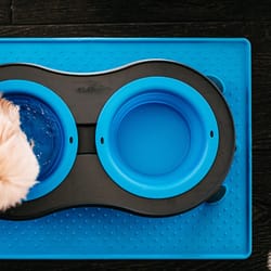 Dexas Blue Rubber Pet Bowl Mat For Cats/Dogs