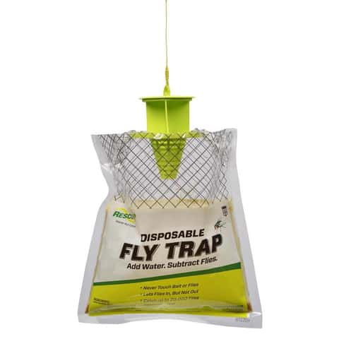 Buy Fly Traps Indoor & Balcony, 10-PK Online in USA, Fly Traps Indoor &  Balcony, 10-PK Price